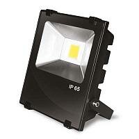 Светодиодный прожектор EUROELECTRIC 10W modern IP-65 Premium (LED-FLR-COB-10), фото 1
