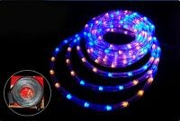 ДЮРАЛАЙТ БУХТА LED BLUE-YELLOW 100M-K-119, Дюралайт LED лента, фото 1